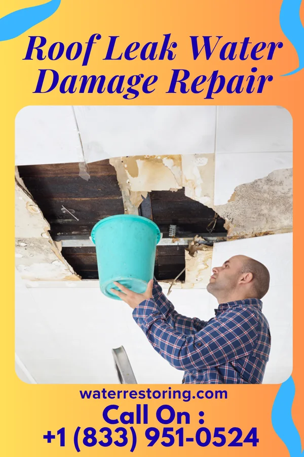 Roof Leak Water Damage Repair in Gillett, WI